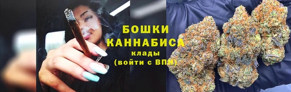 крисы Вязьма