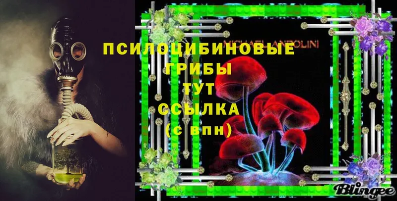 Галлюциногенные грибы Magic Shrooms  MEGA ТОР  Алатырь 